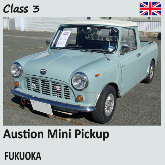 Austion Mini Pickup