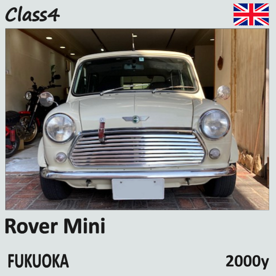 Rover Mini